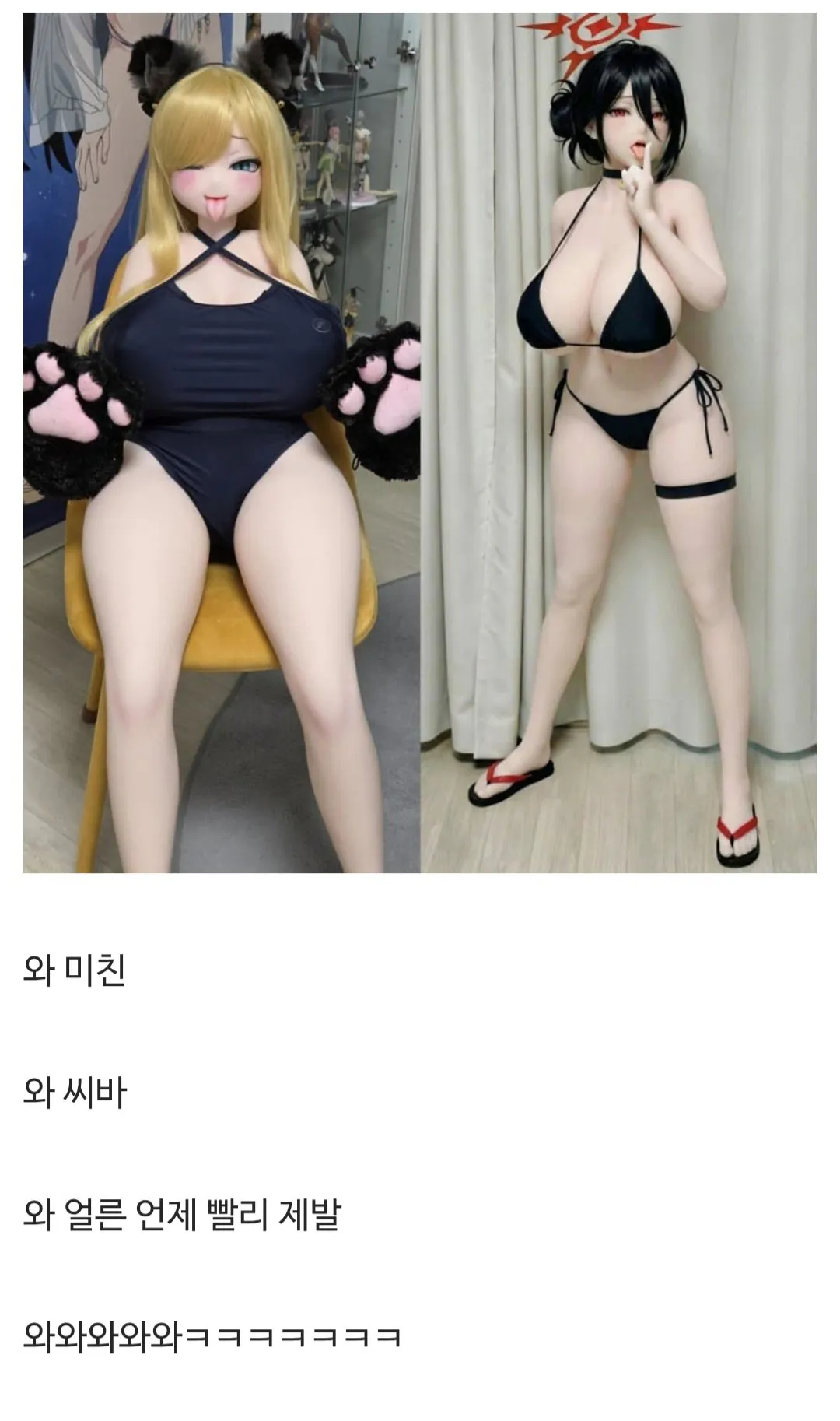 집에 사람 모양 피규어를 두면 안 되는 이유와 디시인들 반응