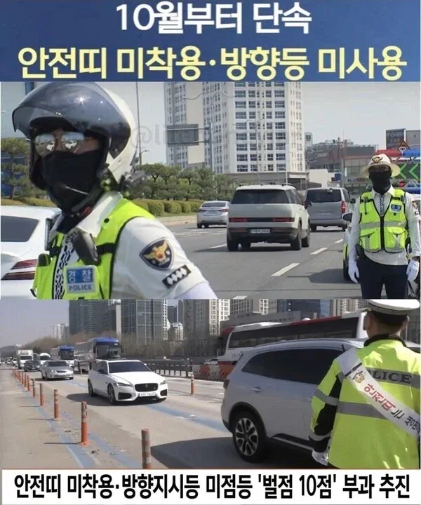 10월부터 단속: 안전띠 미착용 방향등 미사용