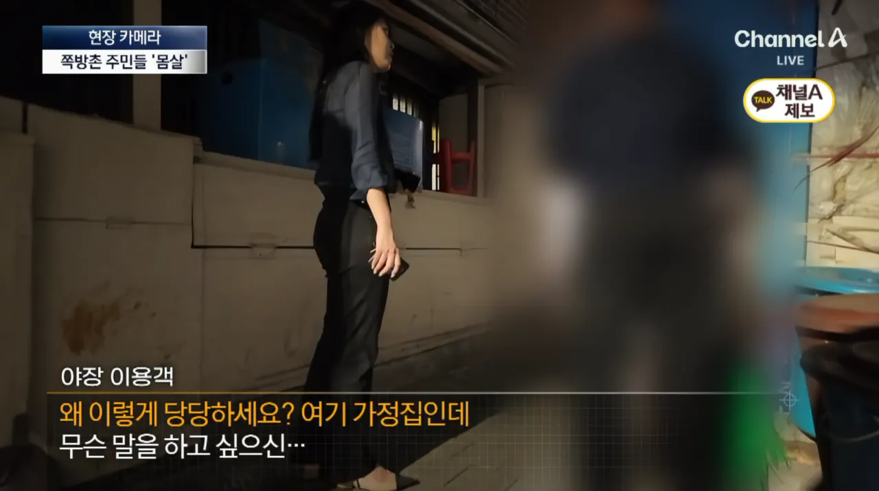 요즘 서울 종로 야장 근황