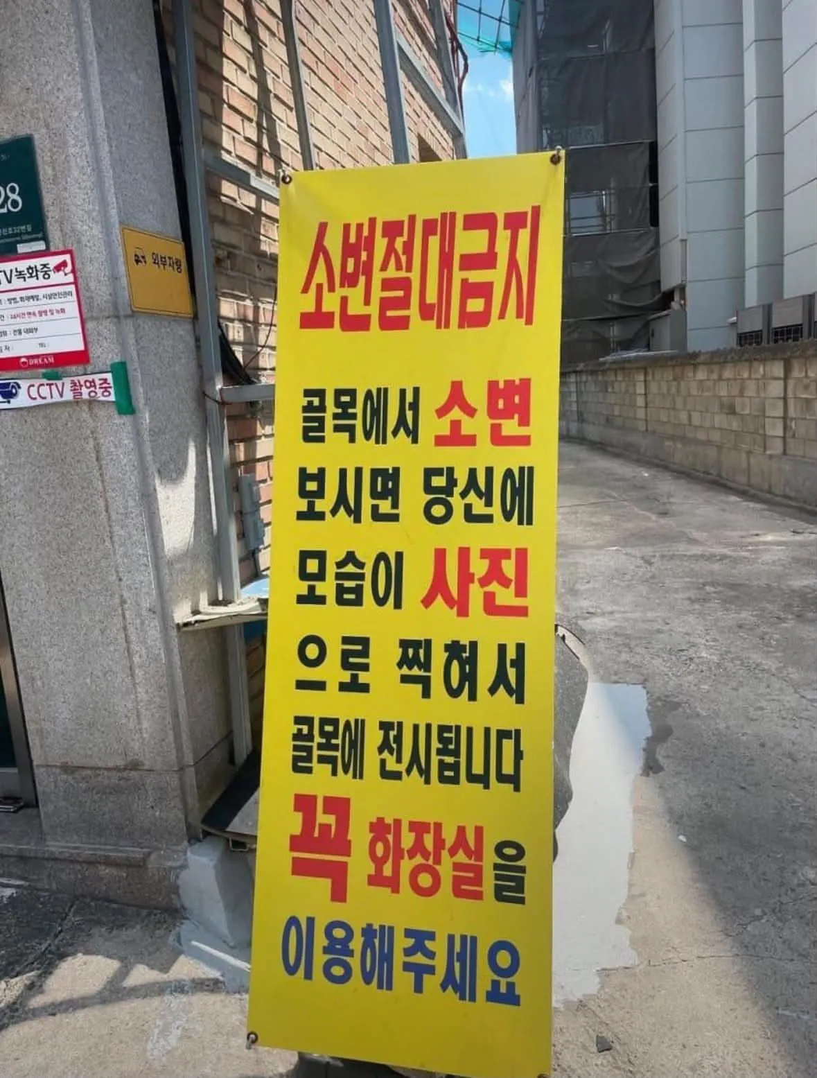 사진 찍어 전시합니다 말만 그런 줄 알았는데 실제 골목길 상황