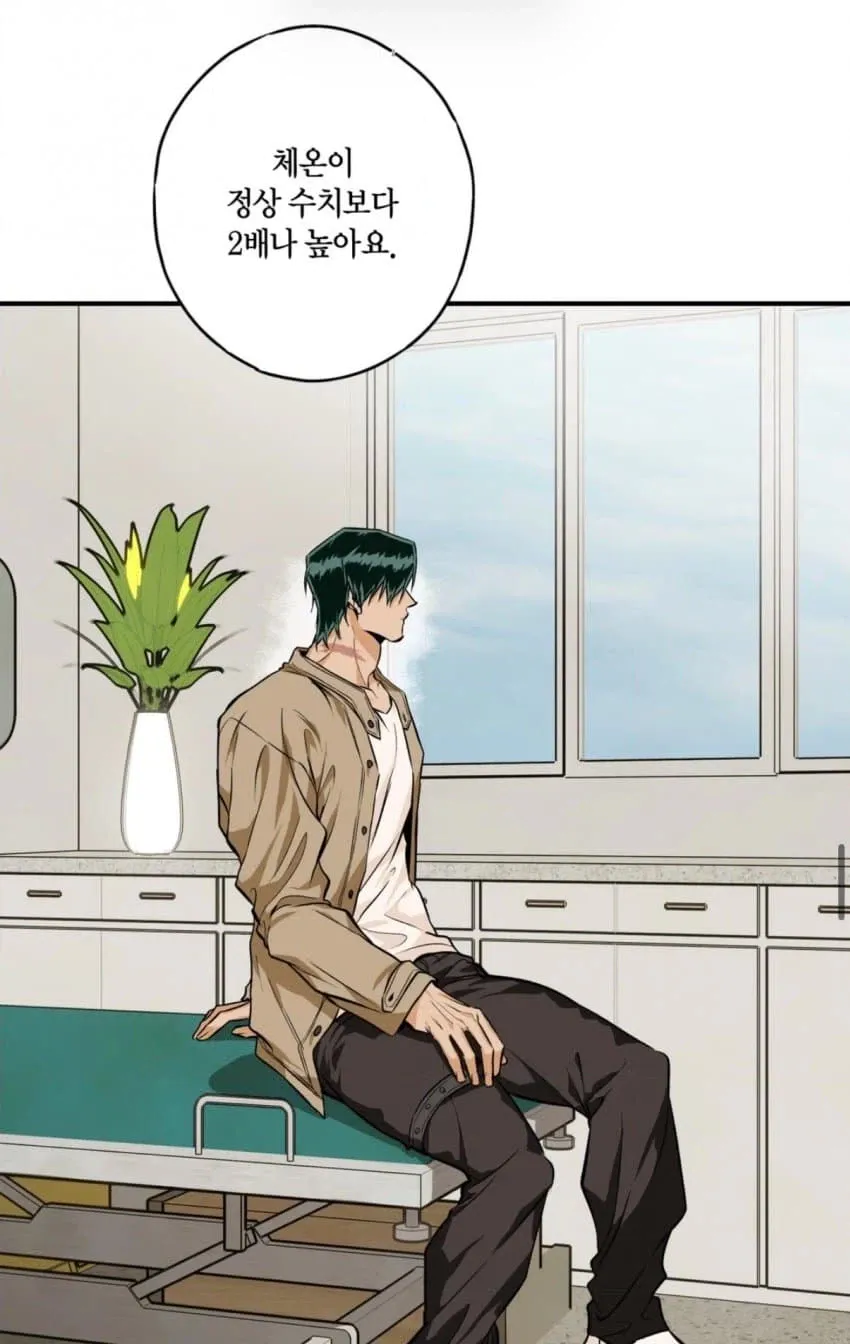 오싹오싹 K웹툰 근황