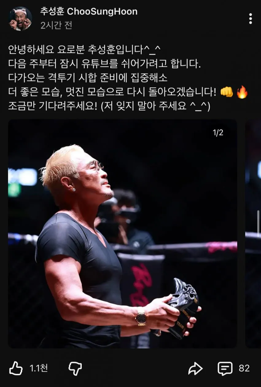 추성훈 유튜브 활동 중단