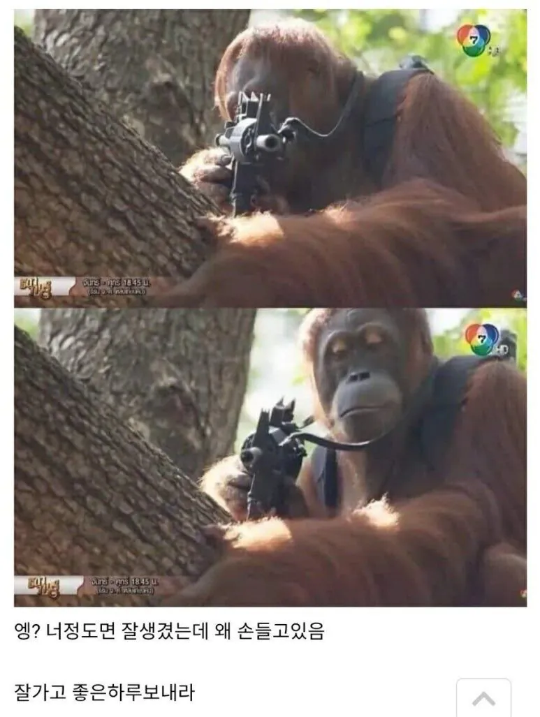 못생긴 사람 손들어