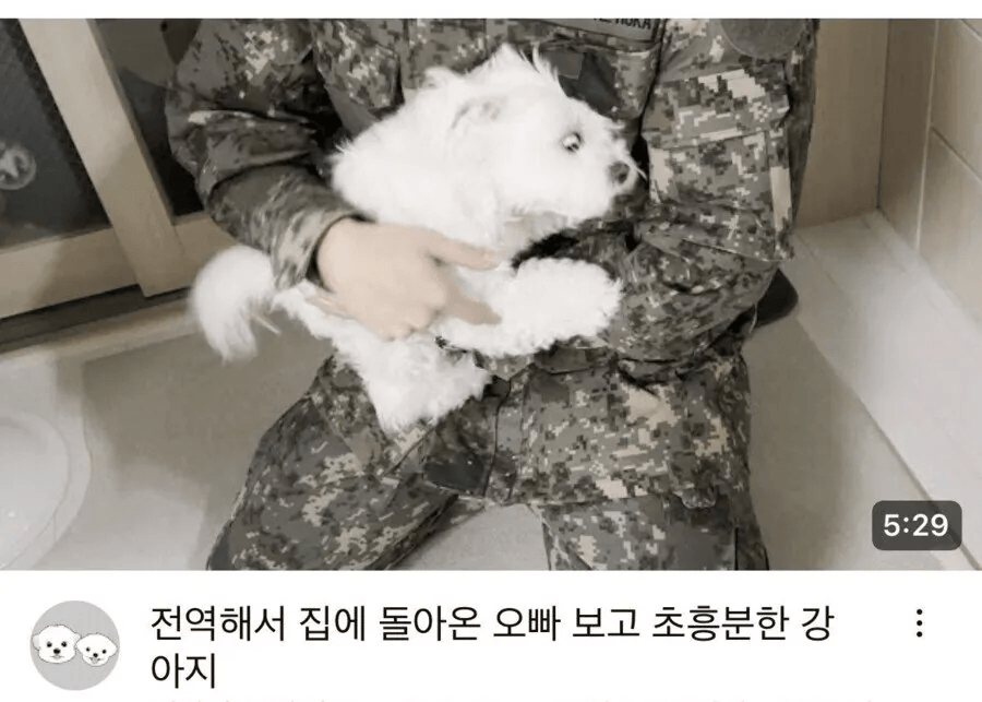 군대간 오빠를 기다린 강아지