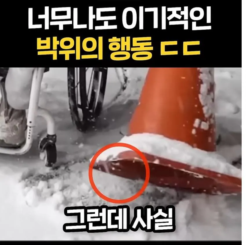 너무 이기적이라고 논란중인 박위