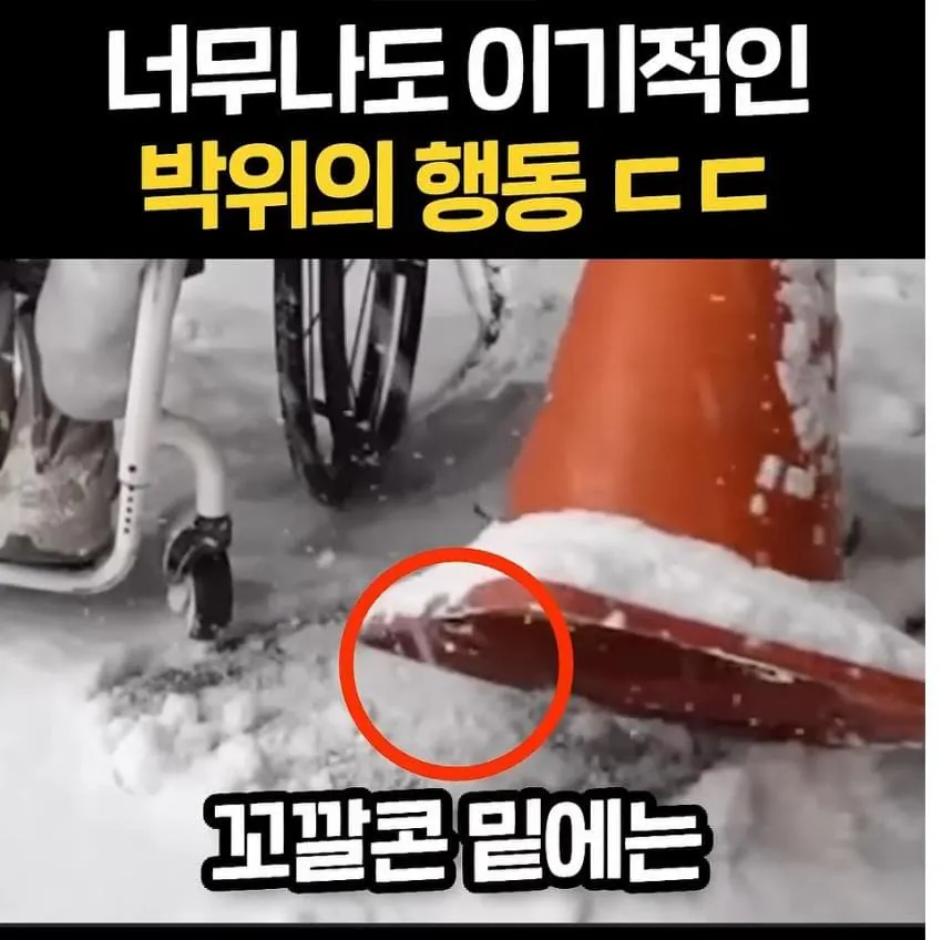 너무 이기적이라고 논란중인 박위
