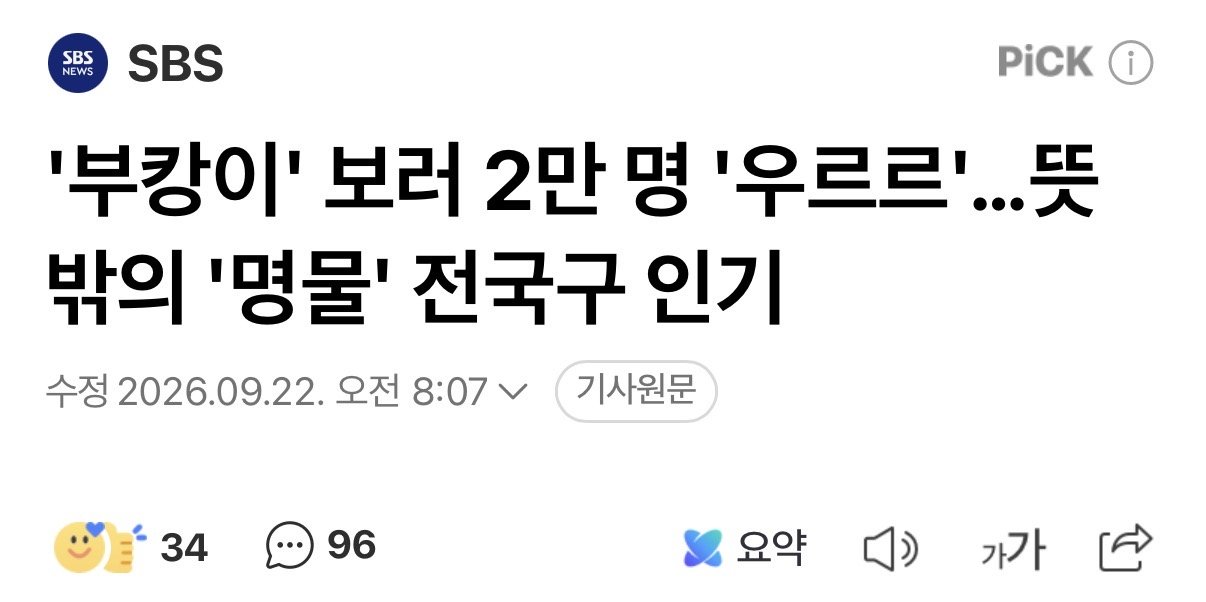 부산 상어 이름은 부캉이