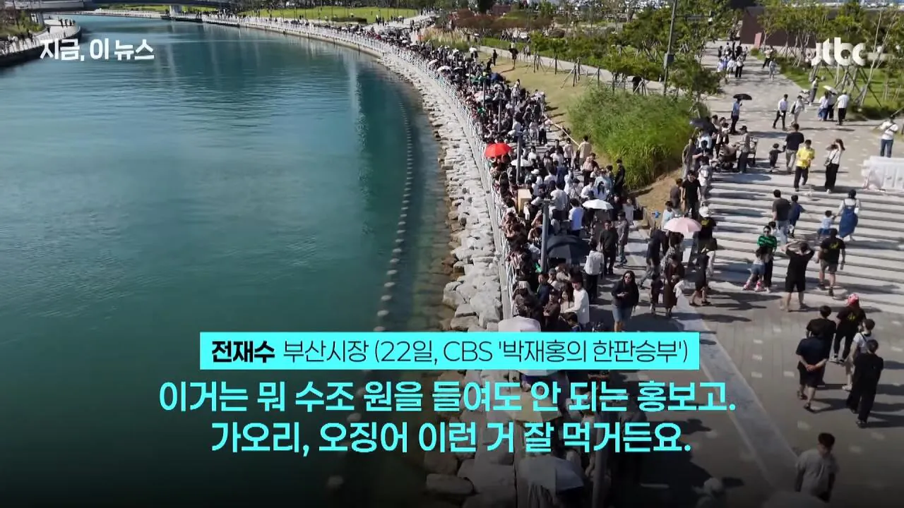 관광객 끌어모은 상어한테 진심으로 감동받은 부산시장 ㄷㄷ