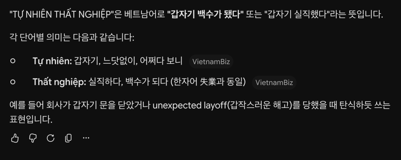 아직도 정신 못차린 베트남 그 유튜버