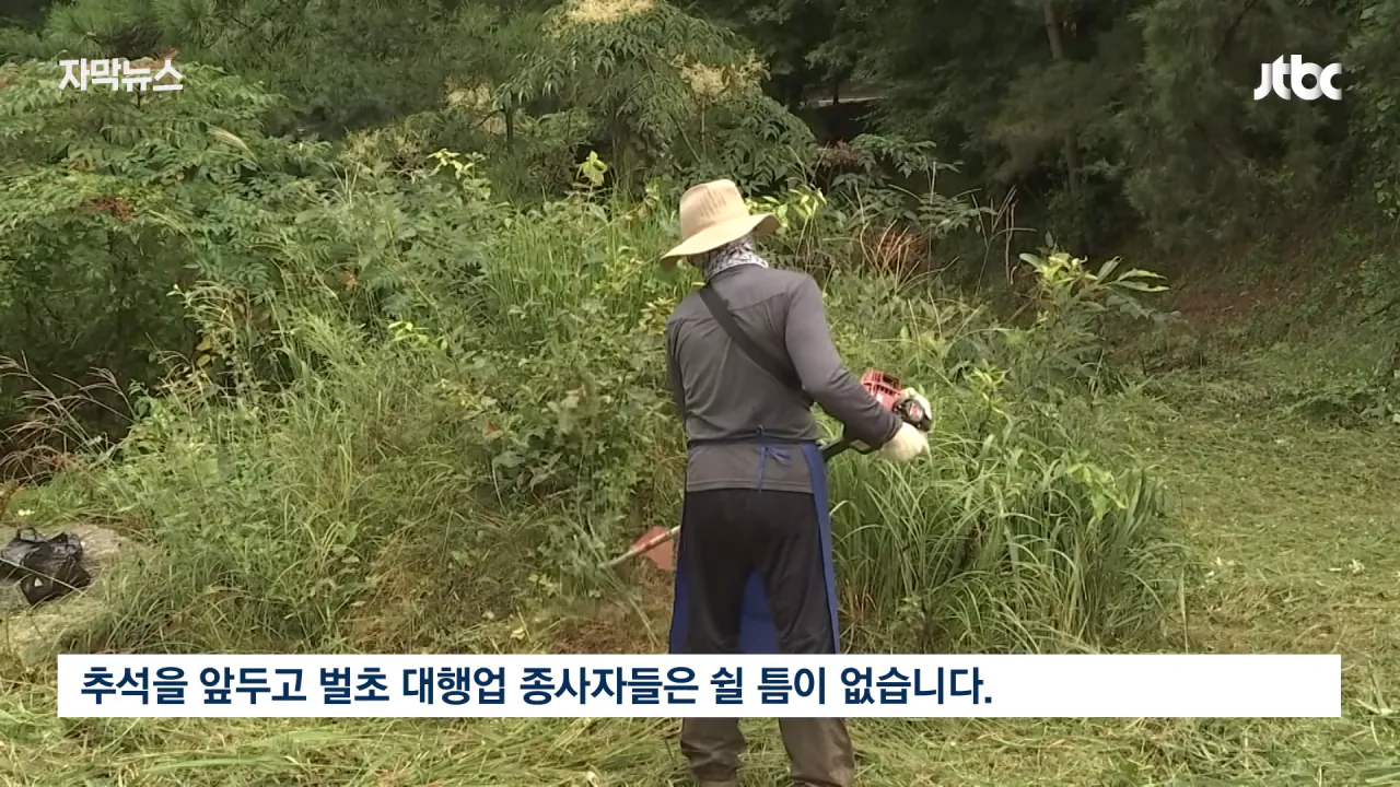  성묘 벌초에 고심하던 600년 종가의 결단 ㄷㄷㄷ