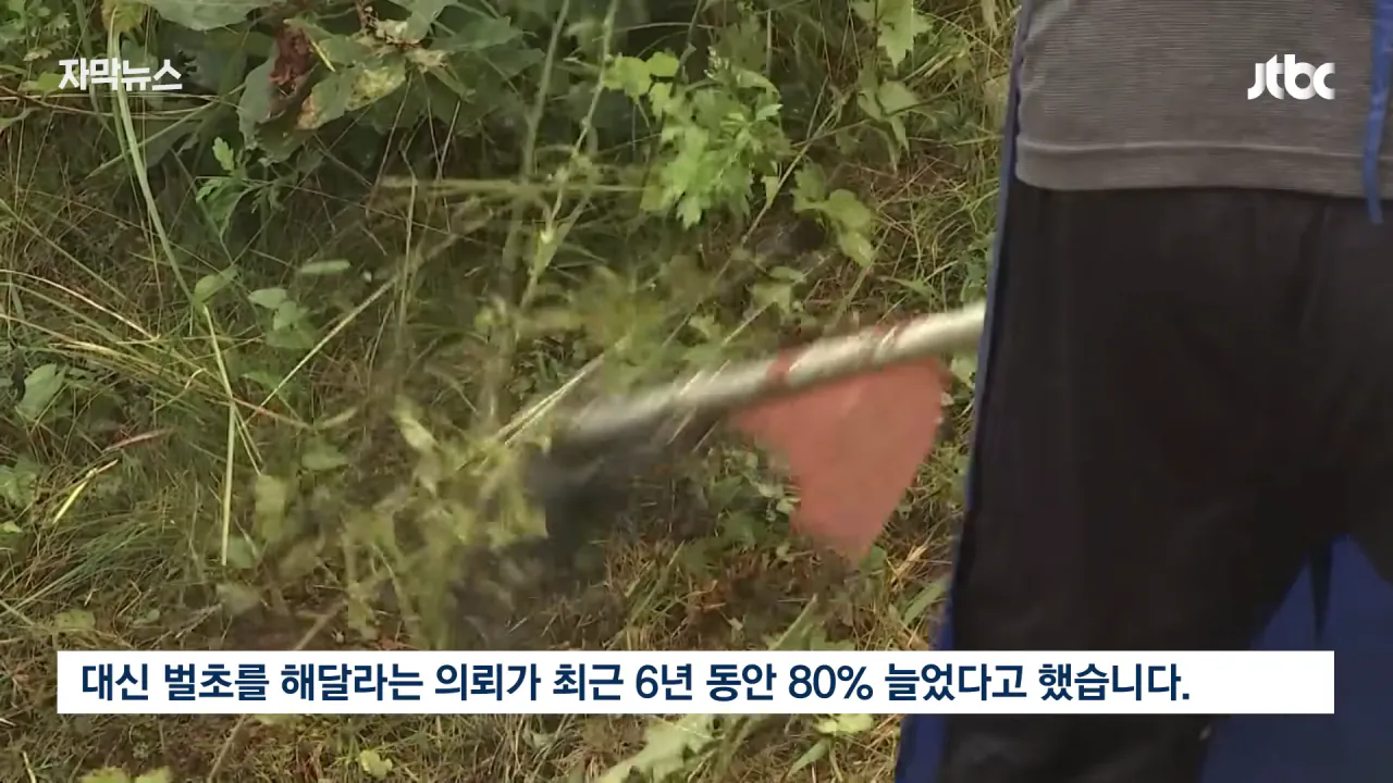  성묘 벌초에 고심하던 600년 종가의 결단 ㄷㄷㄷ
