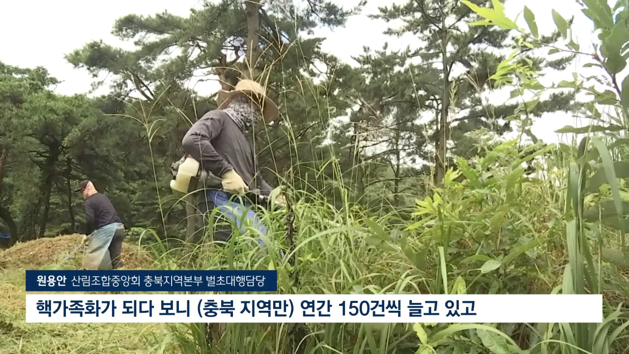  성묘 벌초에 고심하던 600년 종가의 결단 ㄷㄷㄷ