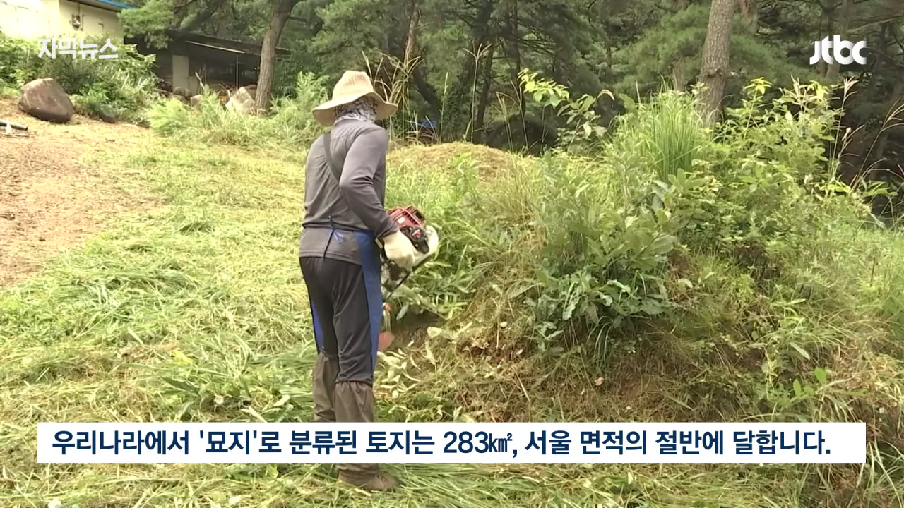  성묘 벌초에 고심하던 600년 종가의 결단 ㄷㄷㄷ