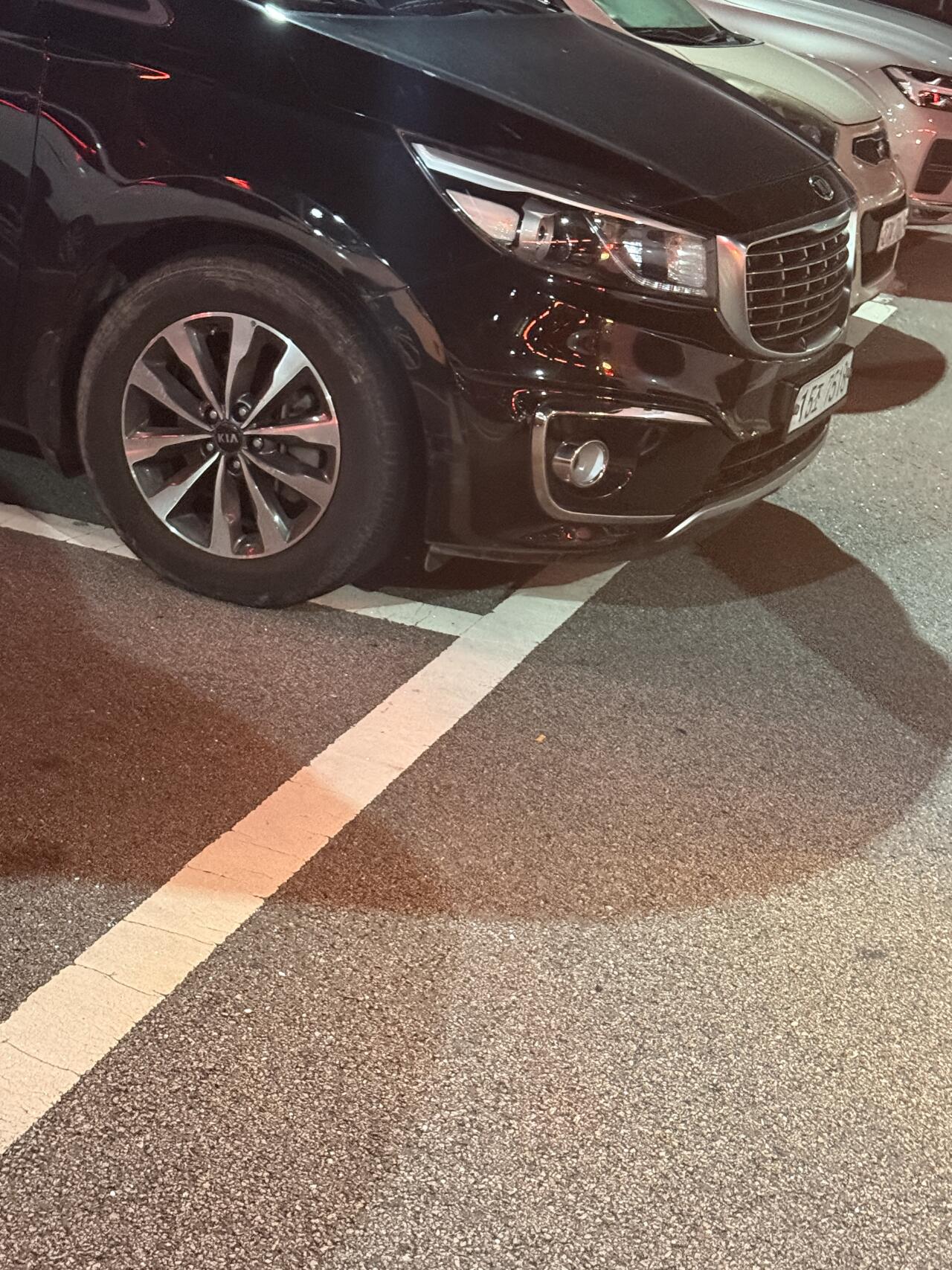 십알 카니발은 종특임?