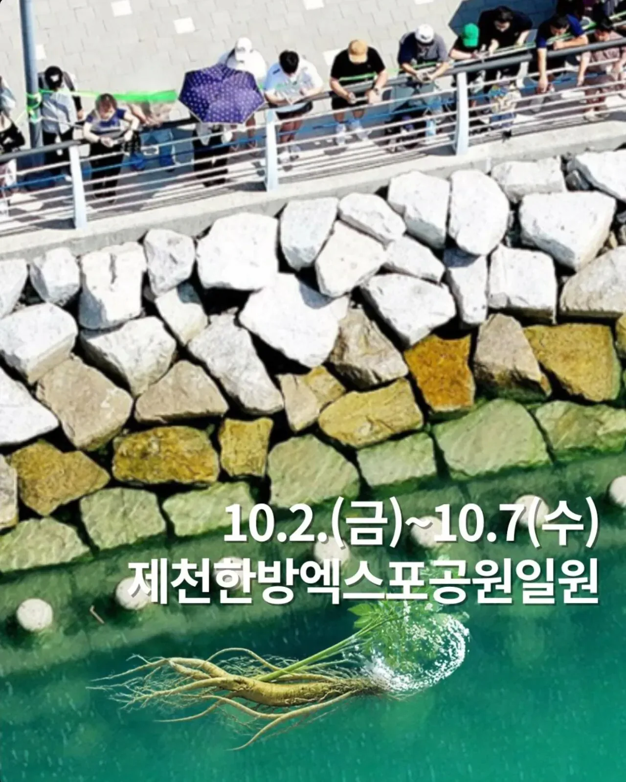 부캉이가 부러웠던 제천시