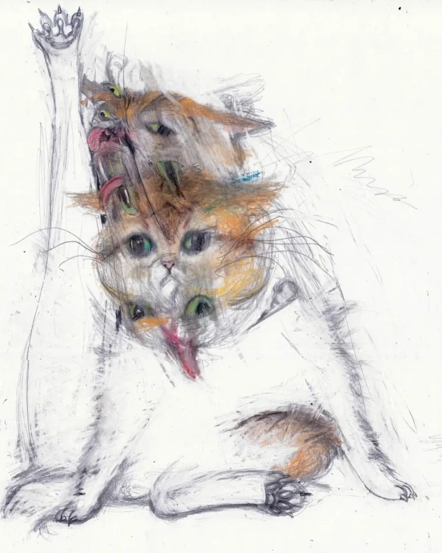 프랑스 작가의 핫한 고양이 그림
