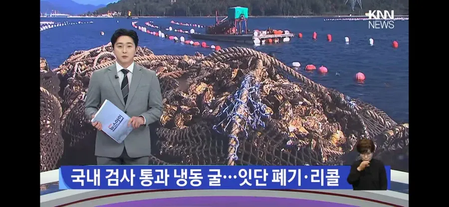 국내산 굴 노로바이러스 검출 