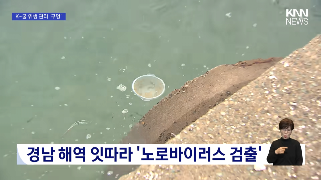 국내산 굴 노로바이러스 검출 