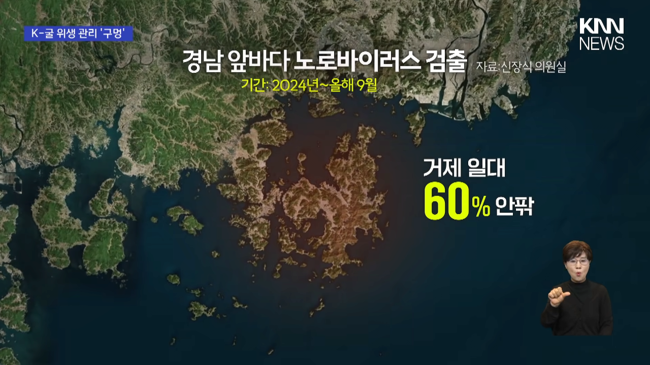 국내산 굴 노로바이러스 검출 