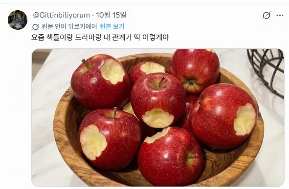 요즘 책과 드라마를 대하는 나의 자세