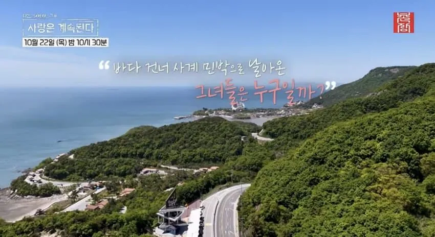 드!디!어! 시작된 국결특집 나는솔로 긴급편성