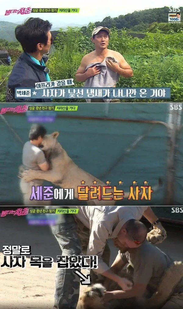 연예계 3대 포도맛 삼겹 사건들