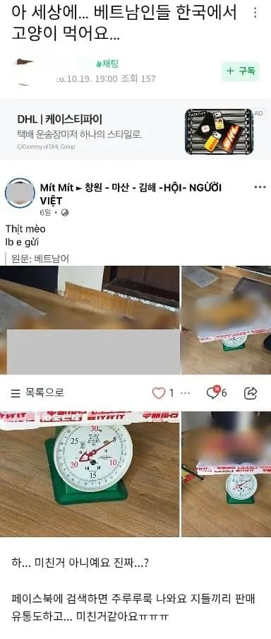 오우..고양이 고기먹는 베트남 아저씨들