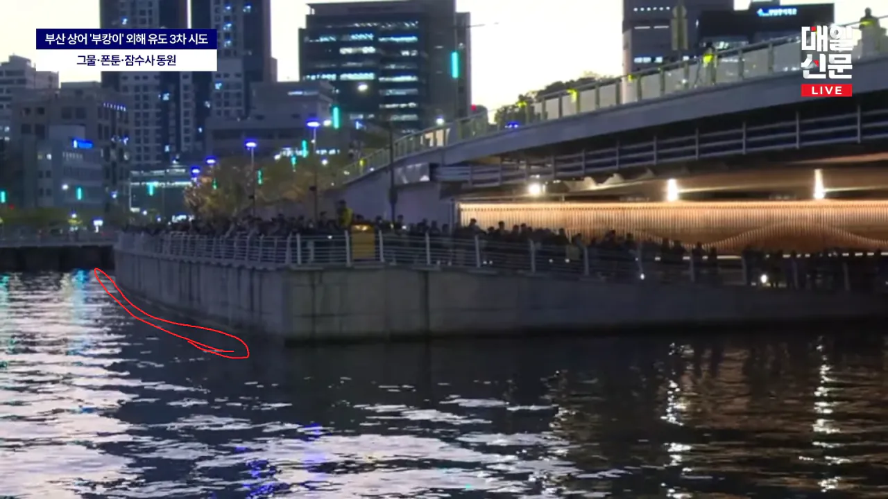 지도로 보는 부캉이의 이동