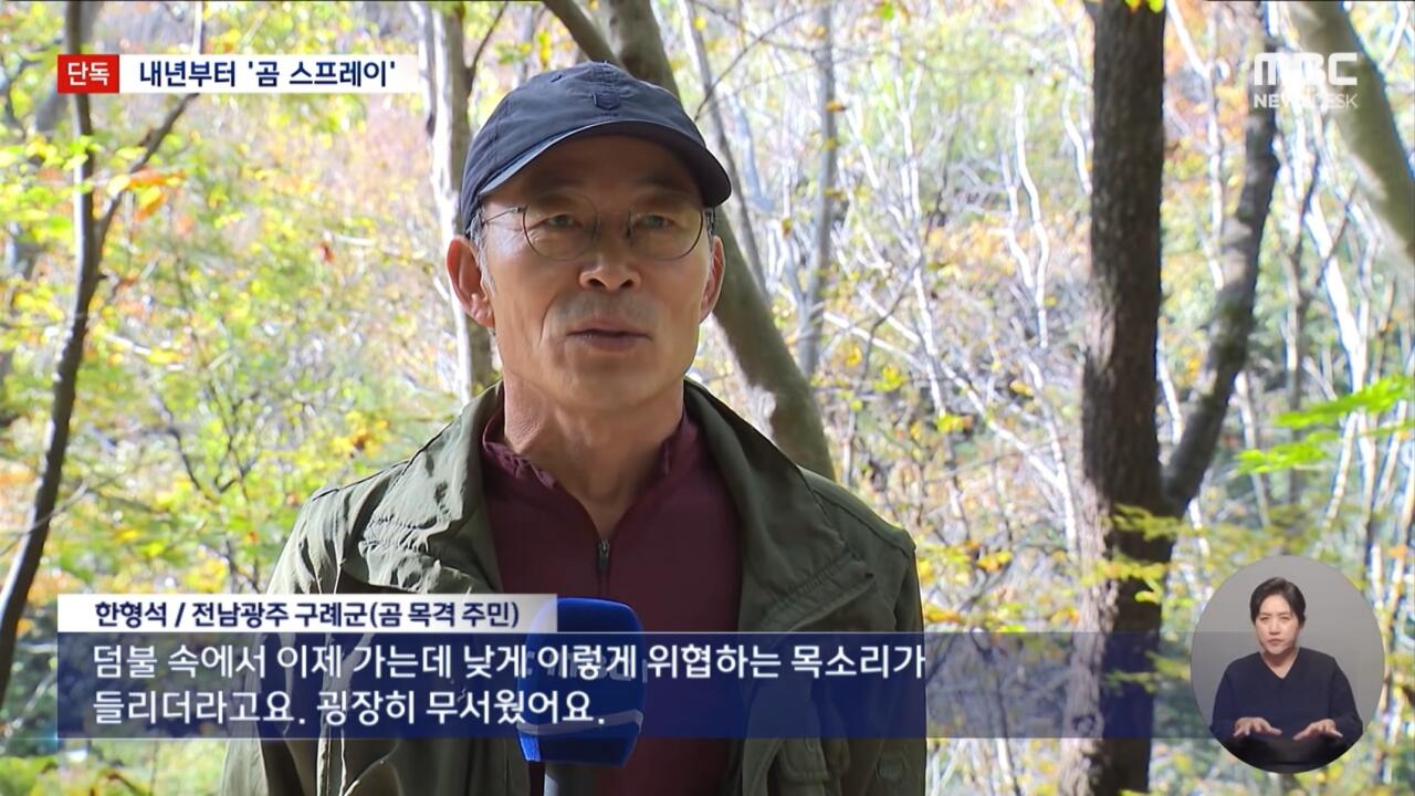 지리산 숲속에서 힐링 중인 반달곰
