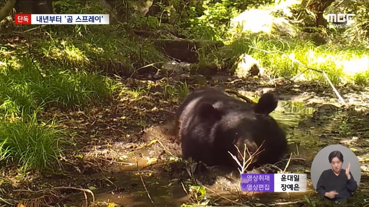 지리산 숲속에서 힐링 중인 반달곰