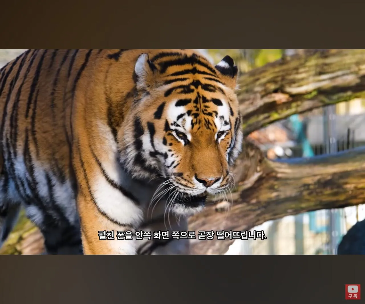  아이폰 듀오 낙하시험 결과