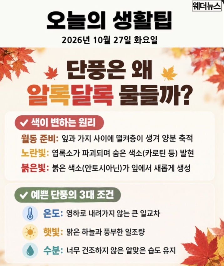  오늘의 생활팁스.